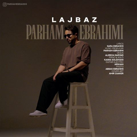 دانلود آهنگ پرهام ابراهیمی به نام لجباز